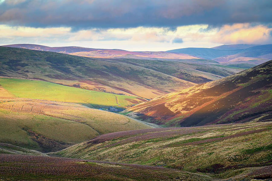 View Looking Down Upper Coquetdale Photograph By David Head - Fine Art 