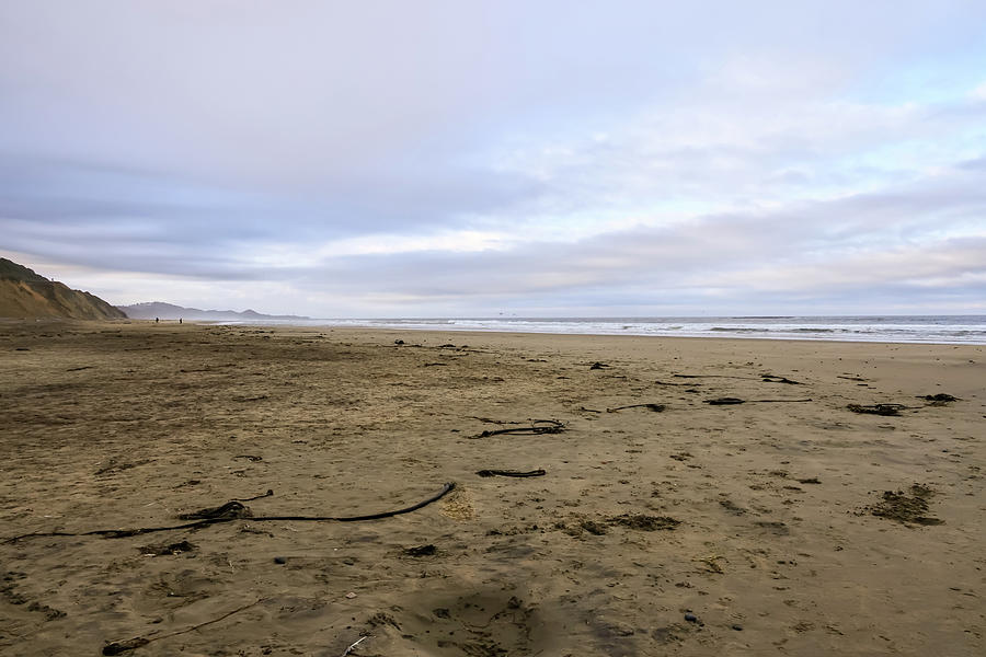 View of a kelp strewn beach Photograph by Jeff Swan - Fine Art America