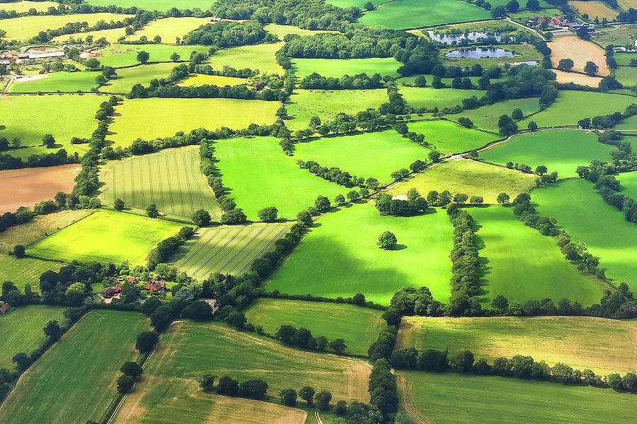 View Of Agricultural Field In Spain Photograph by Art Spectrum