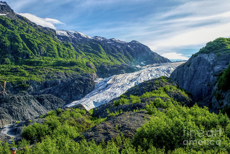 View of Alaska Exit Glacier Photograph by Jennifer White