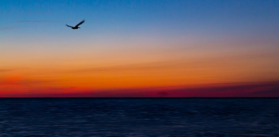 View of bird flying over sea at sunset Photograph by Ant Pruitt / FOAP