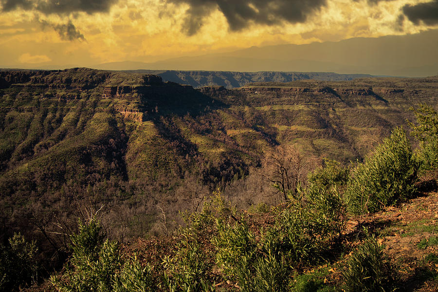 View Of Butte Creek Canyon Photograph by Frank Wilson