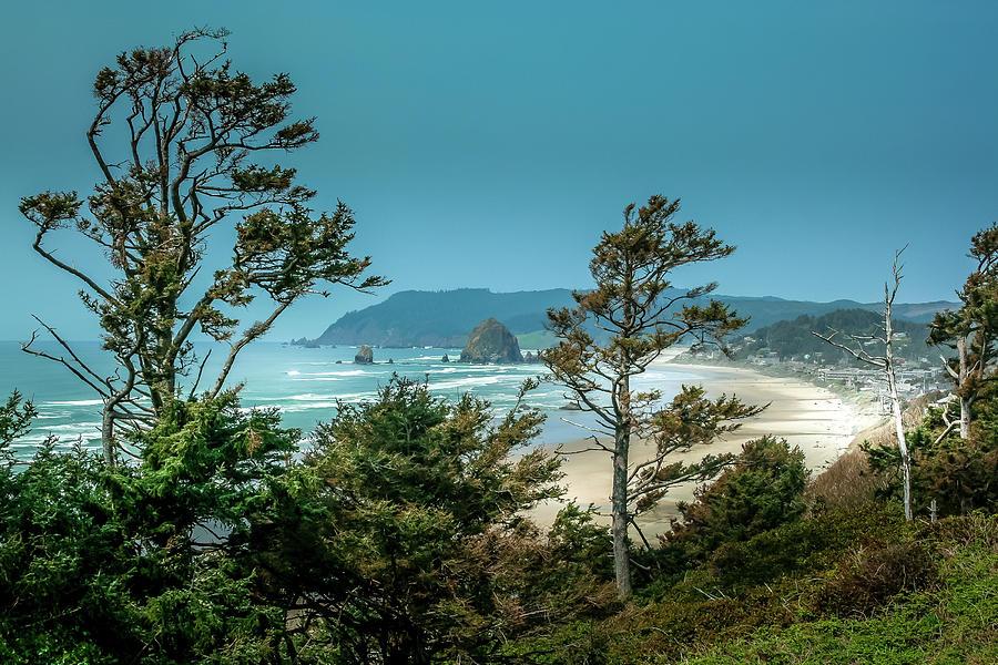 View of Cannon Beach Photograph by David Patterson