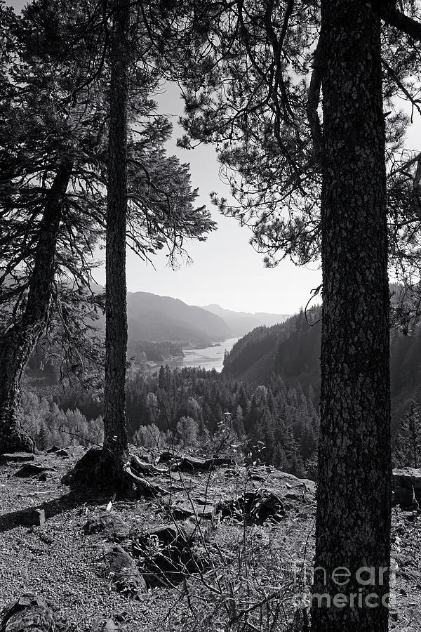 View of Daisy Lake in Black and White Photograph by Maria Janicki