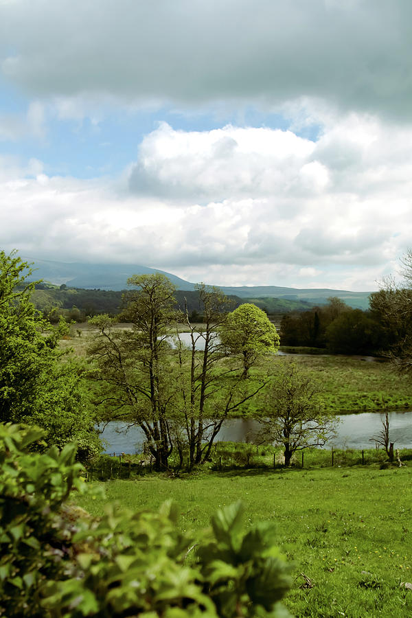 View Of Dumfries And Galloway, Scotland, Green Foliage And River Photograph