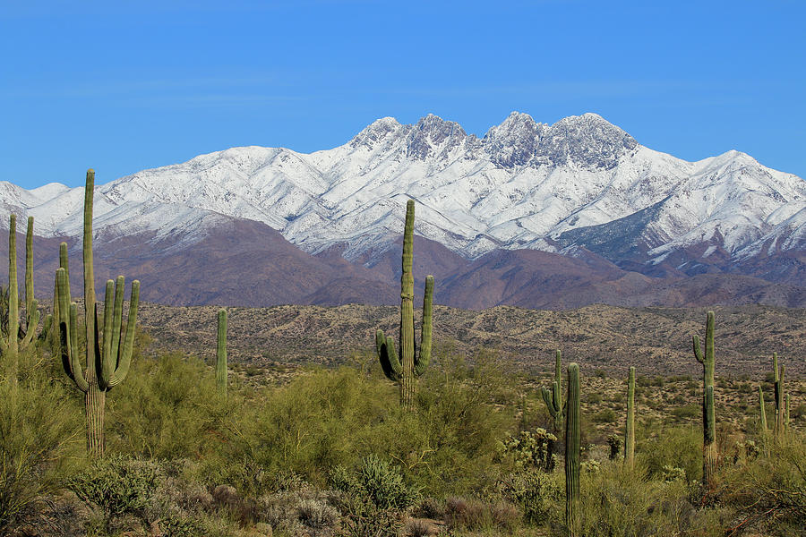 View of Four Peaks with Snow Photograph by Dawn Richards
