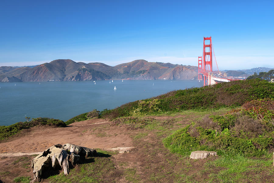 View of Golden Gate Bridge from the Presidio Photograph by Matthew DeGrushe