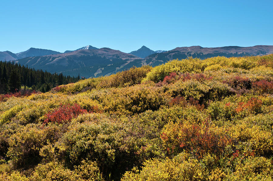 View of Jacque Peak Photograph by Tara Krauss