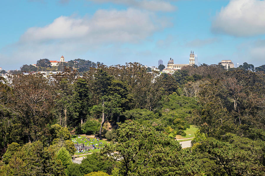 View of Lone Mountain from Golden Gate Park Photograph by Bonnie Follett