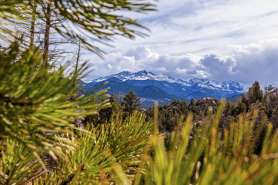 View of Longs Peak from Estes Park, Colorado Photograph by Jeanette Fellows
