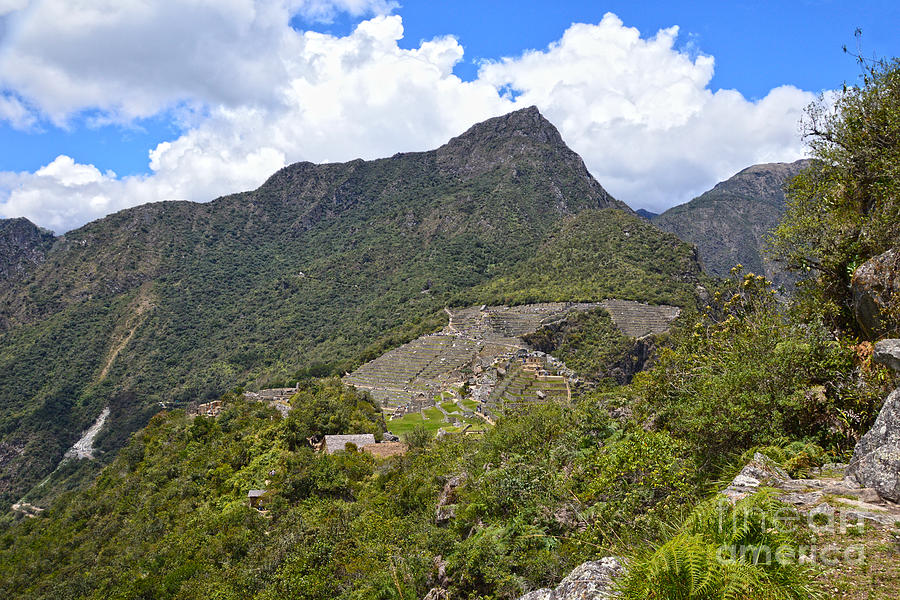 View of Machu Picchu, Peru Photograph by Catherine Sherman