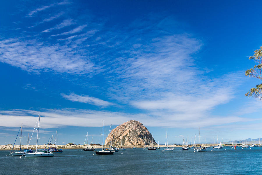 View of Morro Bay, California, USA Photograph by ElOjoTorpe