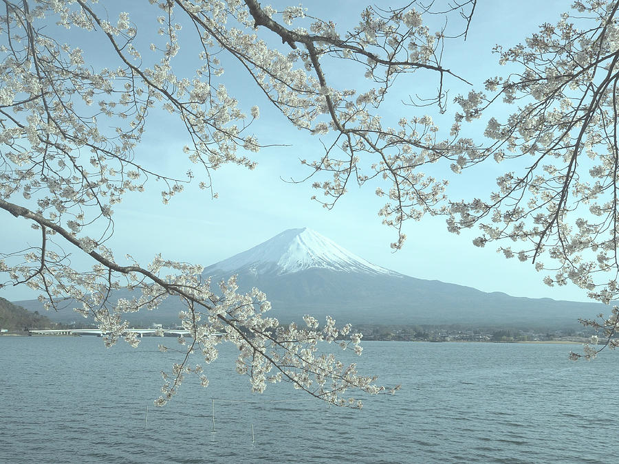 View of Mount Fuji from Lake Kawaguchiko, Japan Photograph by Pak Hong