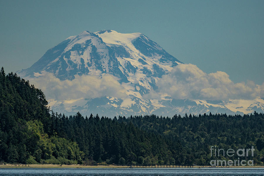 Tree Photograph - View of Mount Rainier from Case Inlet in Puget Sound by Nancy Gleason