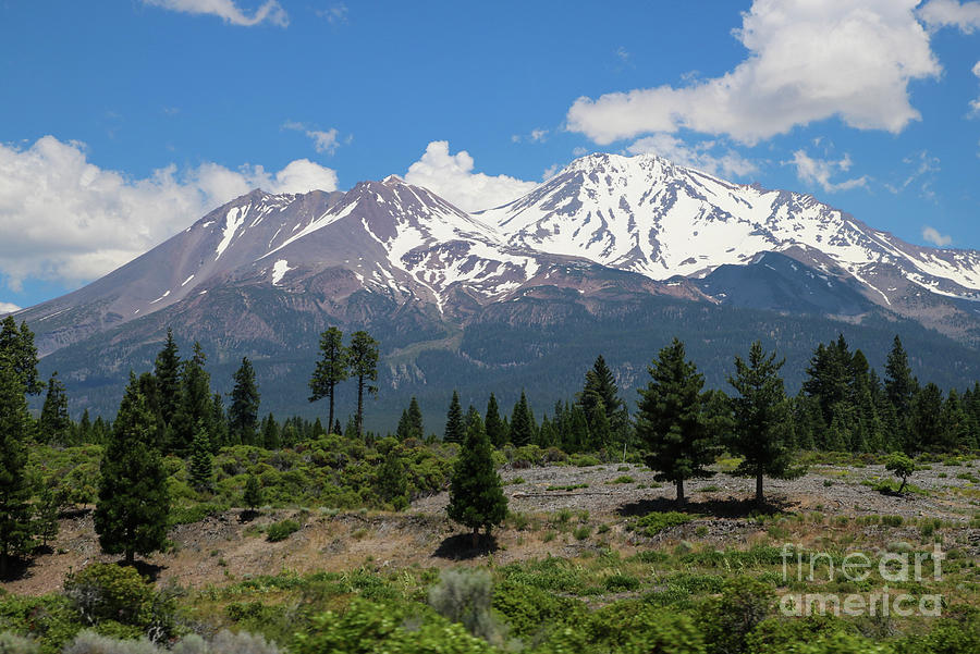 View Of Mt. Shasta Photograph by Suzanne Luft