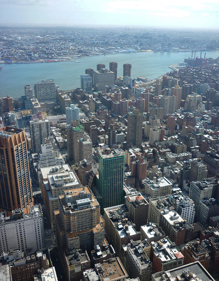 View of New York Photograph by Elizabeth Fernandez