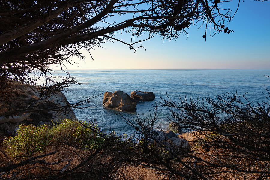 View of Ocean Rocks Through the Trees Photograph by Matthew DeGrushe