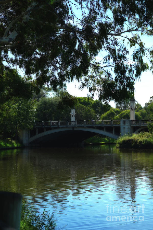 View of old brisge across river bank. Photograph by Milleflore Images