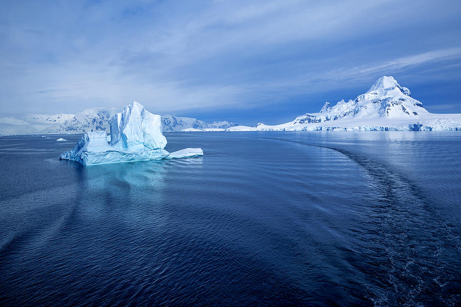 View of Paradise Harbor with Iceberg, Antarctica Photograph by Artie Photography (Artie Ng)