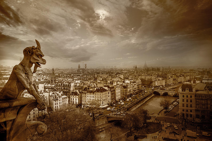Eiffel Tower Photograph - View of Paris From Notre Dame by Serge Ramelli