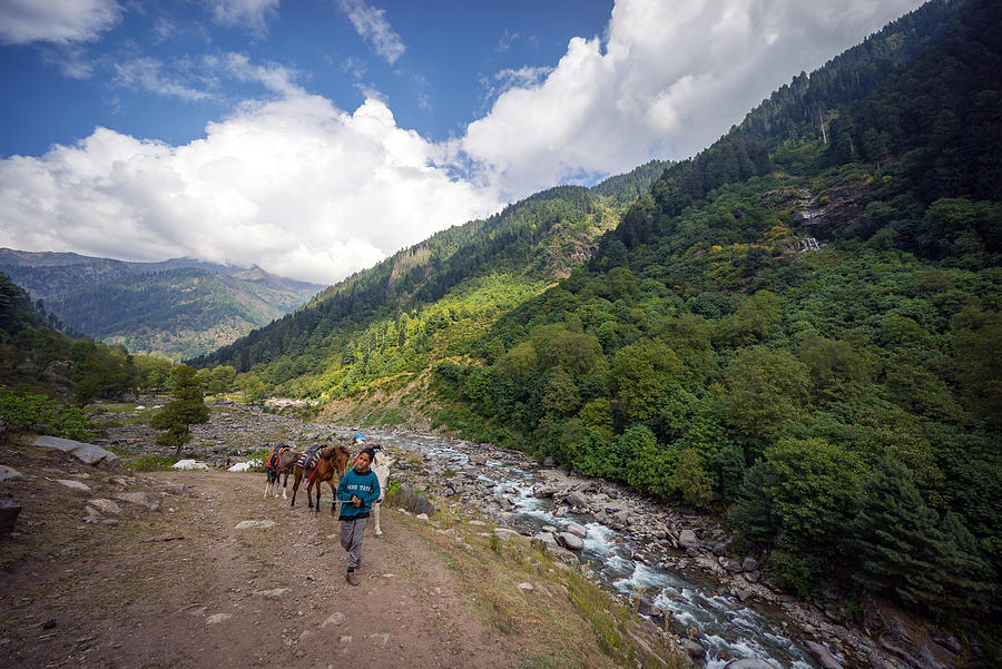 View of part of Naranag-Gangabal trek, undoubtedly one of the most beautiful treks in Kashmir region of Jammu & Kashmir state. Photograph by Shaifulzamri