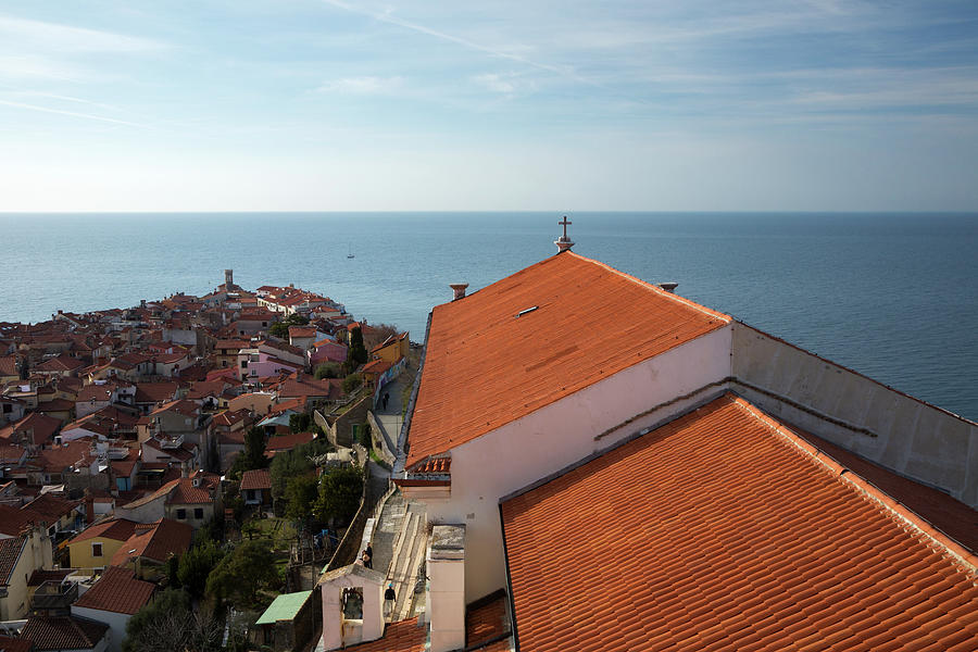View of Piran from Saint Georges campanile. Photograph by Ian Middleton