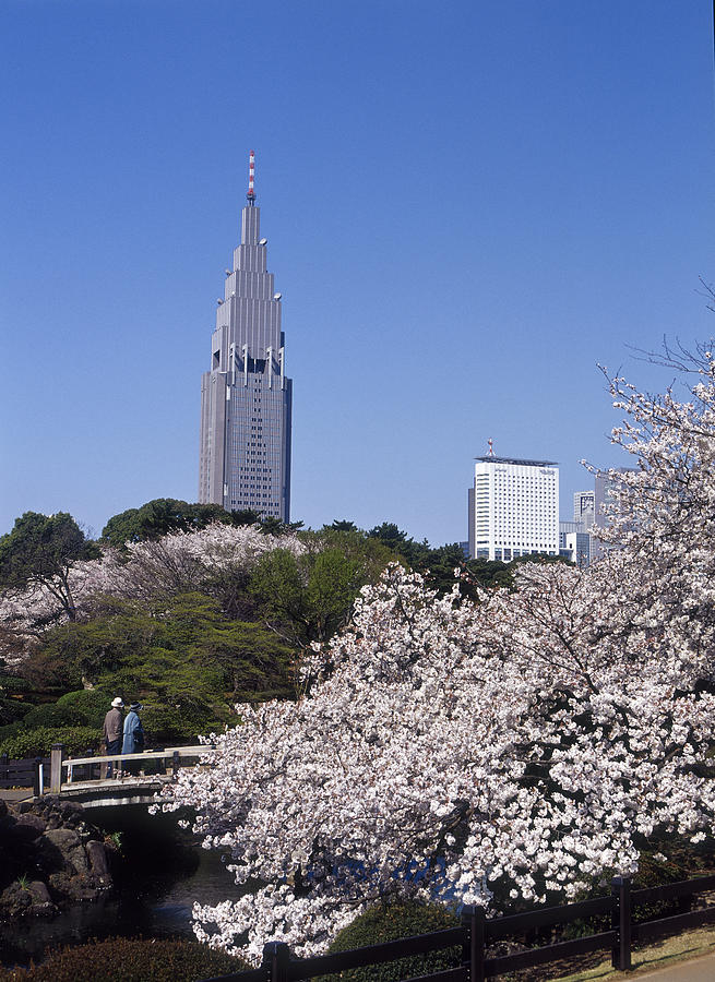 View of Shinjuku Park, Tokyo, Japan Photograph by Dallas and John Heaton
