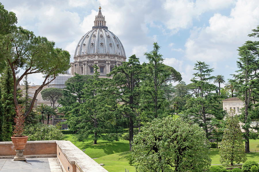 View of St. Peters Basilica from Vatican Gardens Photograph by Jaroslav ...