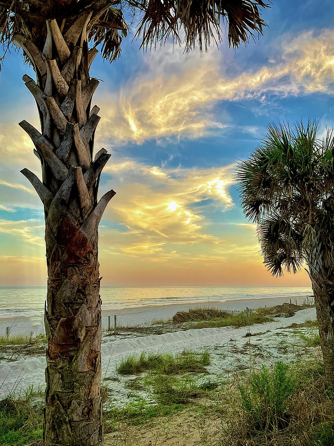 View of the Beach at Myrtle Beach, SC Photograph by Bill Swartwout