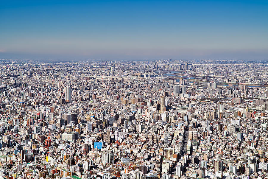 View of the city of Tokyo Photograph by Mauro Tandoi