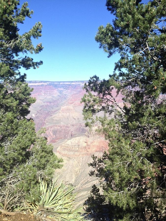 View of the Grand Canyon Photograph by Constance DRESCHER