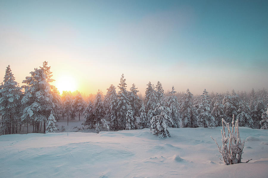 View of the snowy landscape of Finnish tundra Photograph by Vaclav Sonnek