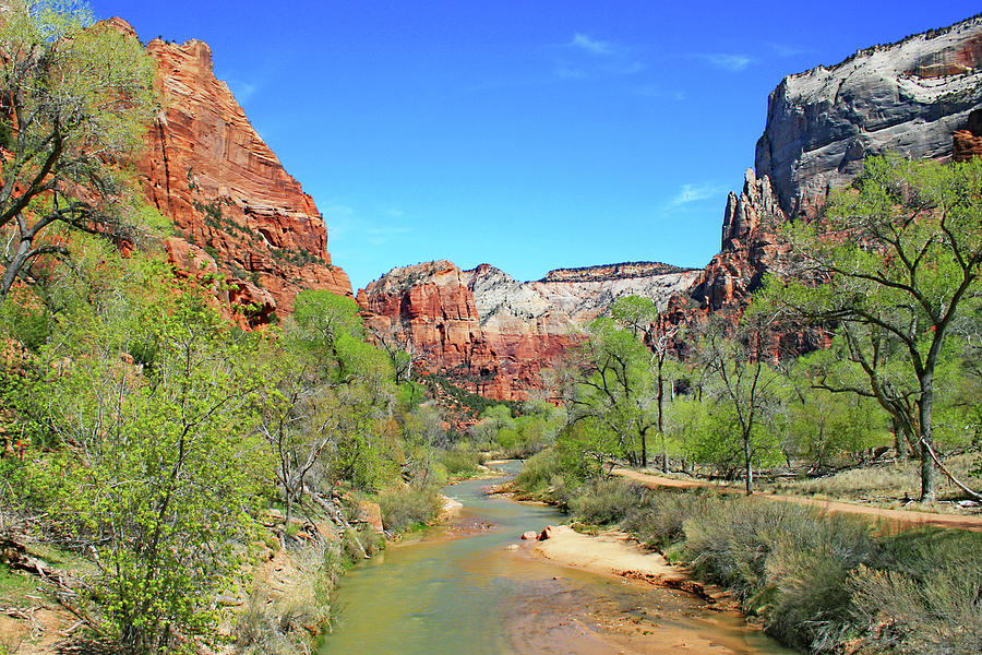 View Of The Virgin River 1 Photograph