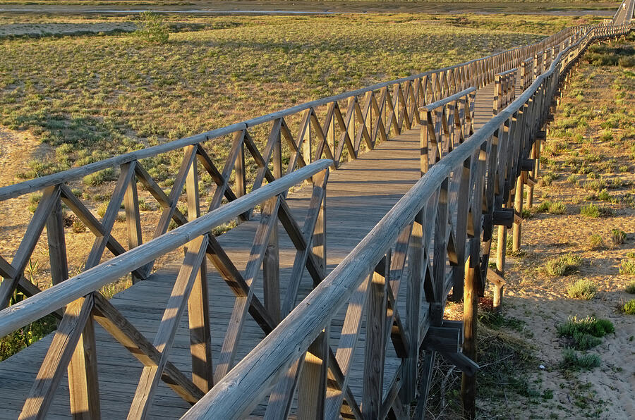 View of the wooden bridge in Quinta do Lago Photograph by Angelo DeVal