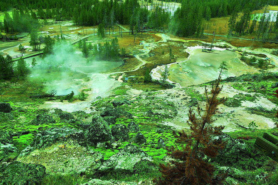 Yellowstone National Park Photograph - View of the Yellowstone Paint pots by Jeff Swan