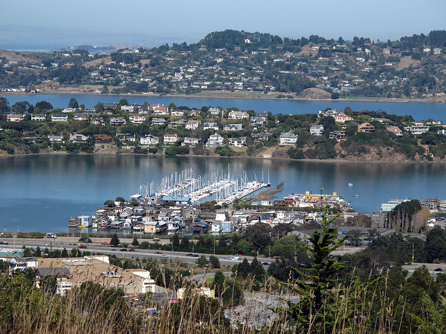 View of Tiburon and Belvedere from Sausalito Photograph by Tiburonstudios