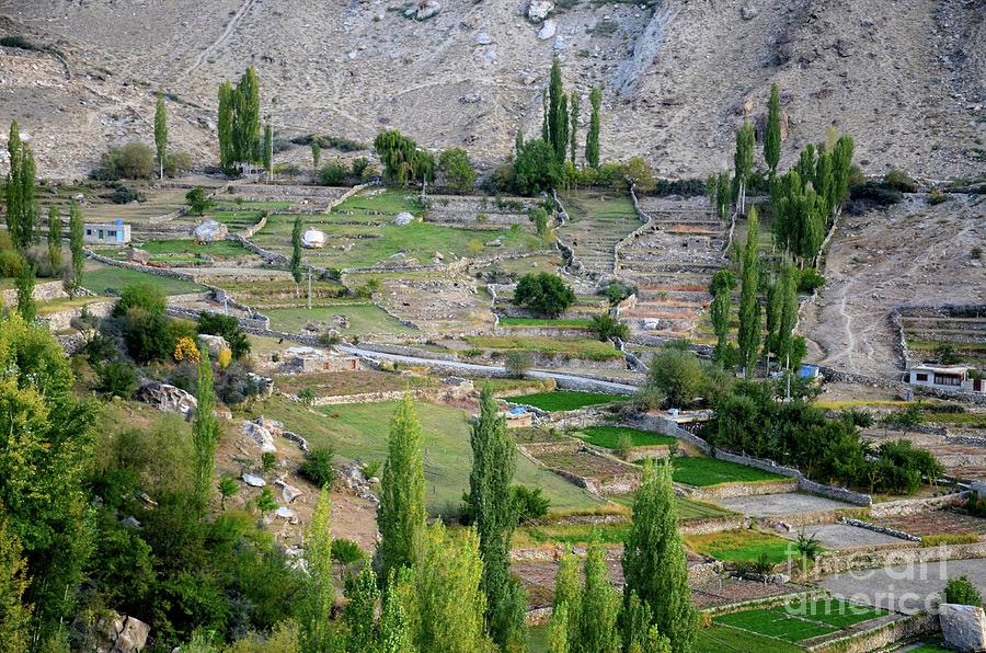 View of village and fields in Hunza Valley northern Pakistan Photograph by Imran Ahmed