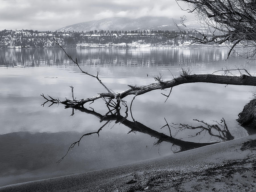 View of West Kelowna Black and White Photograph by Allan Van Gasbeck