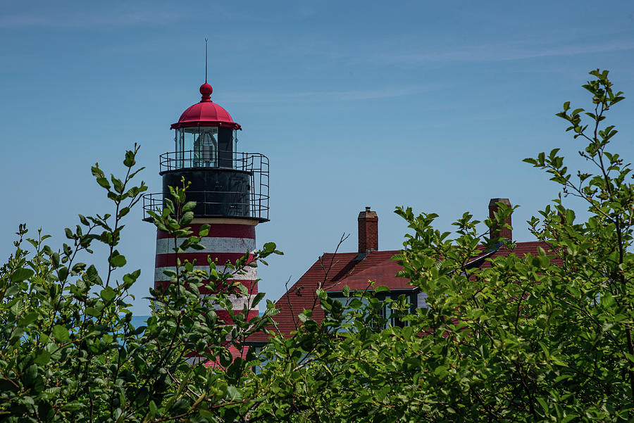 View of West Quoddy Lighthouse Photograph by Lynn Thomas Amber
