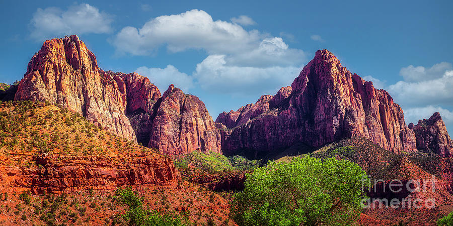 View of Zion National Park Photograph by Nick Zelinsky Jr