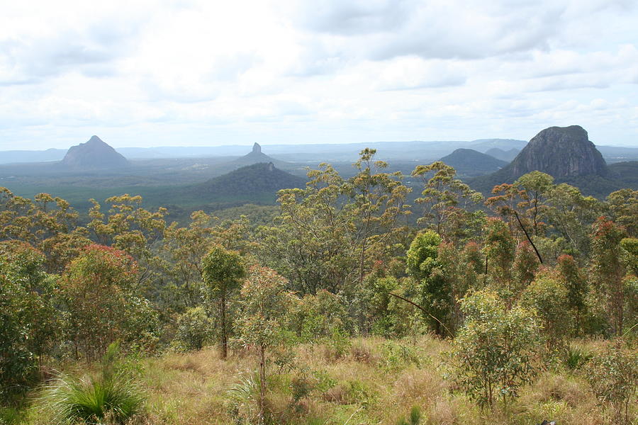 View Of Glass House Mountains Photograph by Maryse Jansen