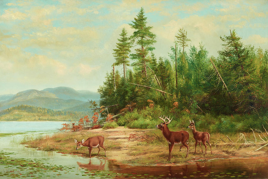 View on Long Lake Painting by Arthur Fitzwilliam Tait Fine Art America