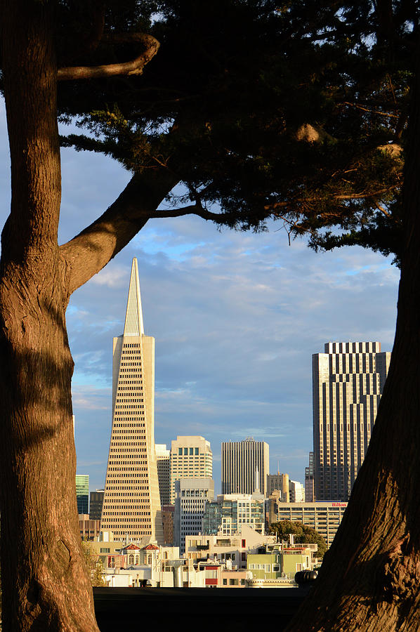 View on San Francisco Photograph by James Kirkikis