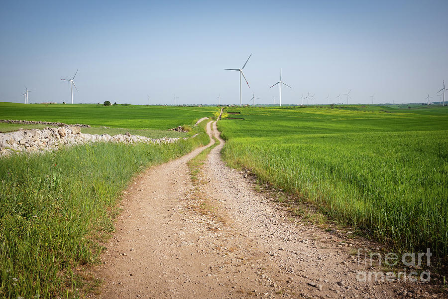 View Over A Wind Farm In Puglia Photograph