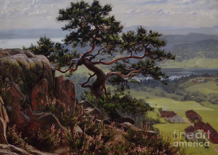 View over Vardaasen, 1904 Painting by O Vaering by Gustav Wentzel