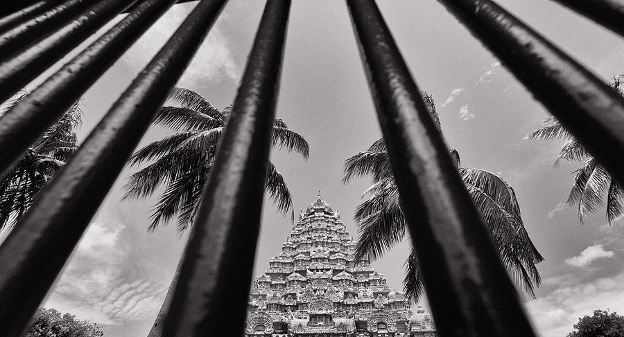 Tree Photograph - View through black cast iron gate - GangaiKonda Chozhapuram by Krishnan Srinivasan