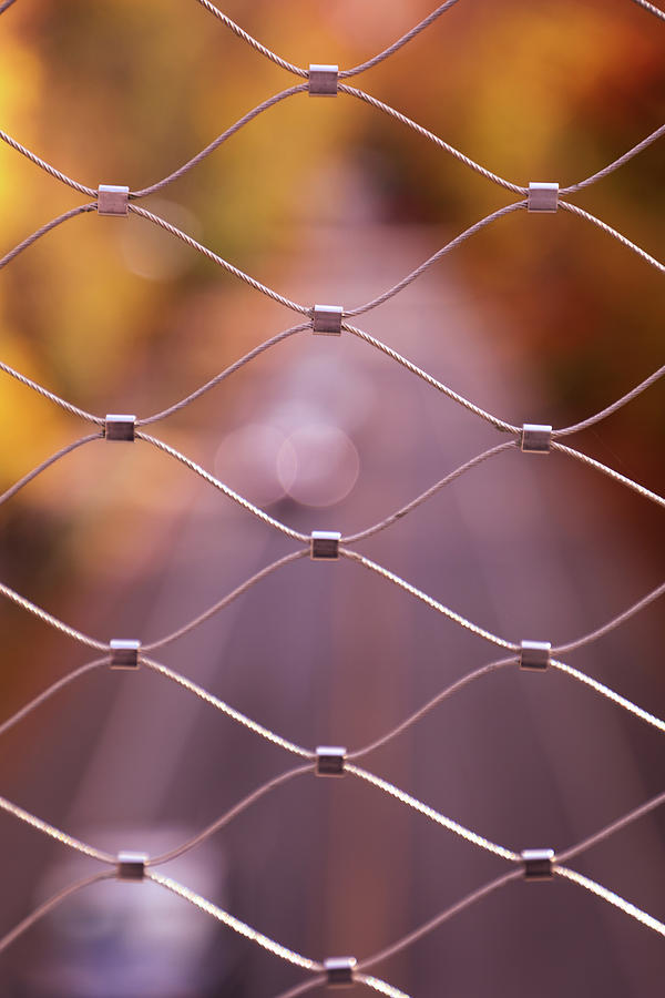 View through Chain Link Fence Photograph by Vadim Levin