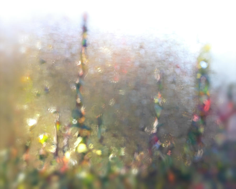 Abstract Photograph - View Through My Rainy Window by Eileen Brabender