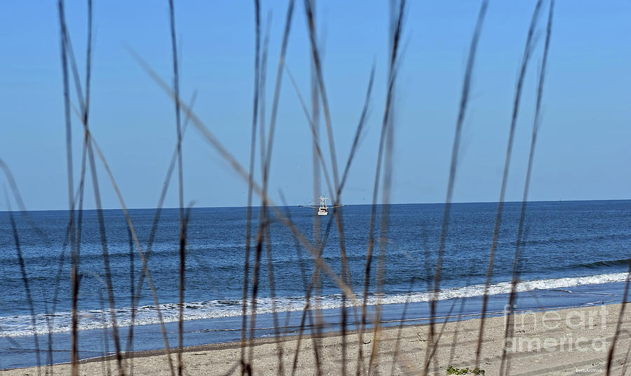 View Through Sea Oats Photograph by Roberta Byram