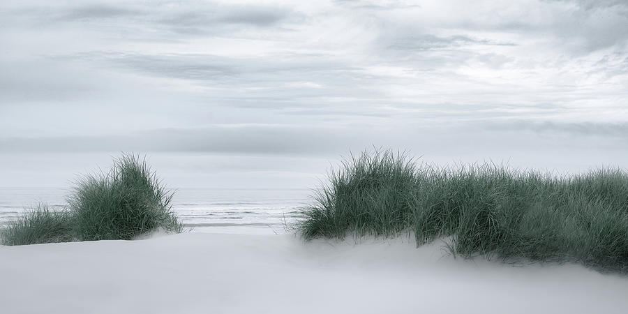 Beach Photograph - View Through the Dune Grasses by Don Schwartz